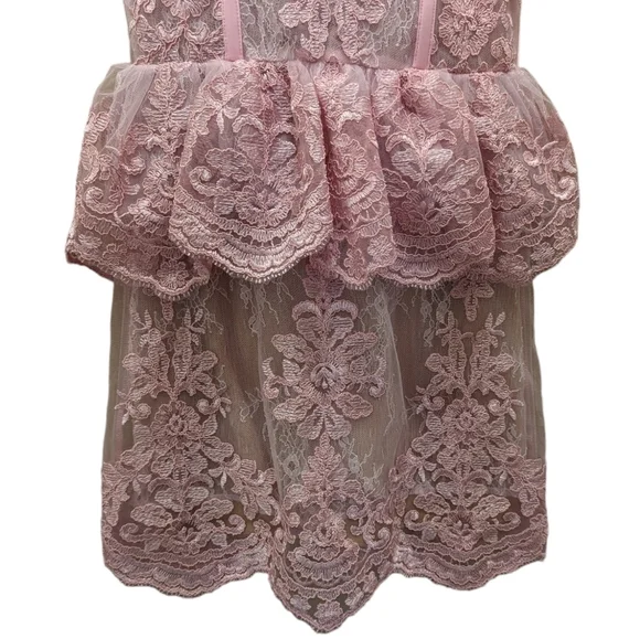 NWT V. Chapman Pink Lace Poppy Corset Peplum Mini Dress Size 2